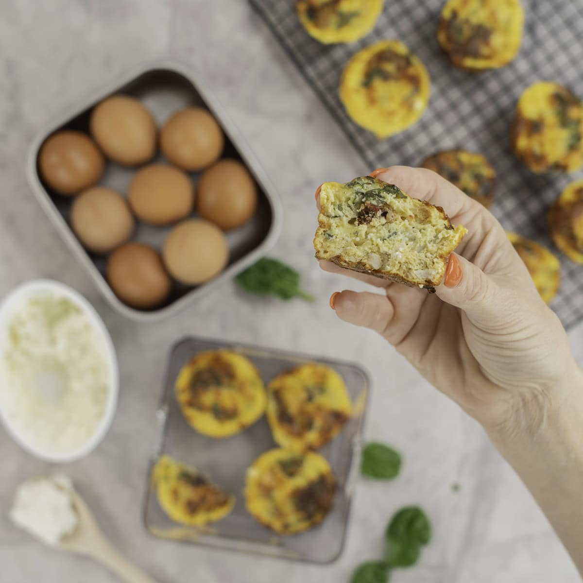 Hand holding a egg muffin cut in half above four egg muffins in a plastic square container, muffins on a metal cooling tray. Eggs inside stainless steel container and cottage cheese with spoon scooped out on benchtop and spinach leaves scattered around.