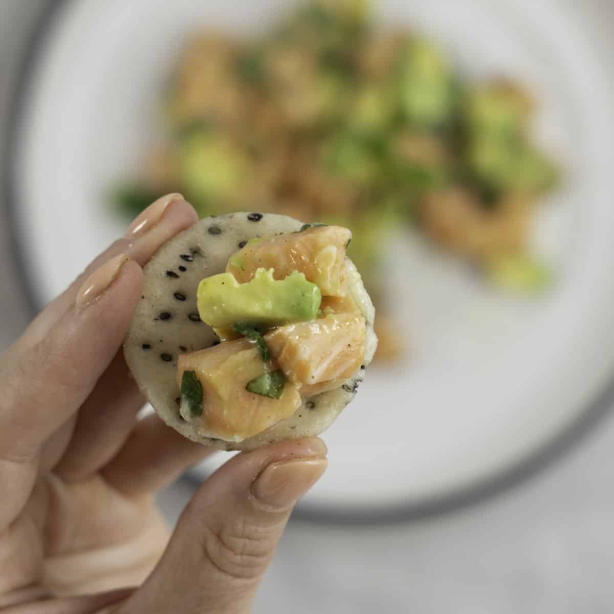 Cubes of salmon and avocado on a rice cracker. 